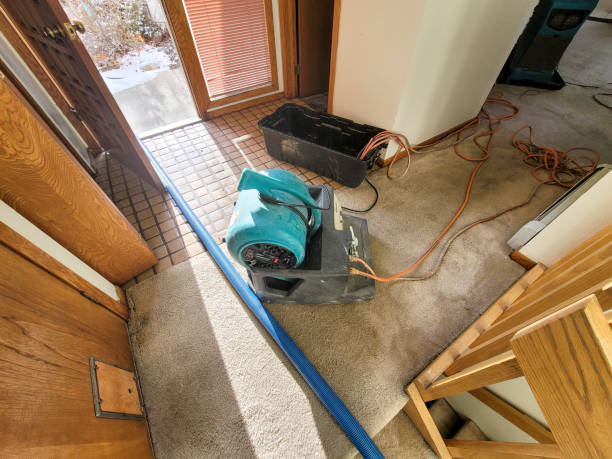 Best 24/7 water damage repair  in Fruitland Park, FL