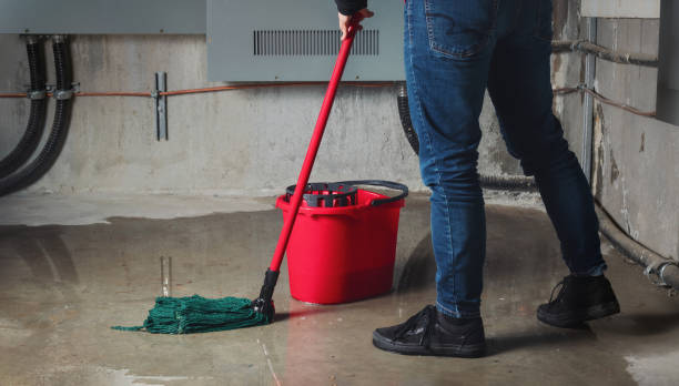 Best Commercial water damage restoration  in Fruitland Park, FL