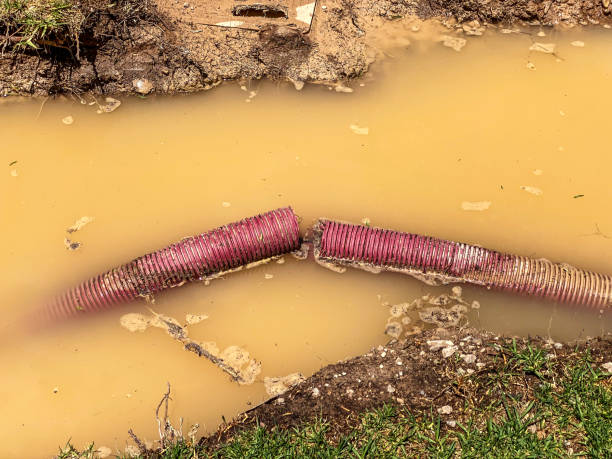 Best Water damage contractors near me  in Fruitland Park, FL