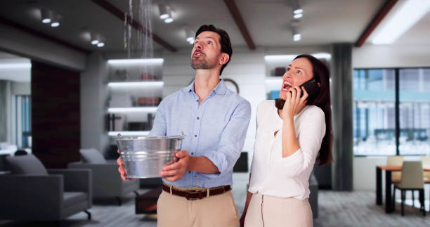 Best Carpet water damage restoration  in Fruitland Park, FL