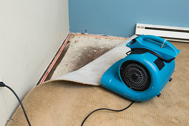 Best Water damage restoration specialists  in Fruitland Park, FL
